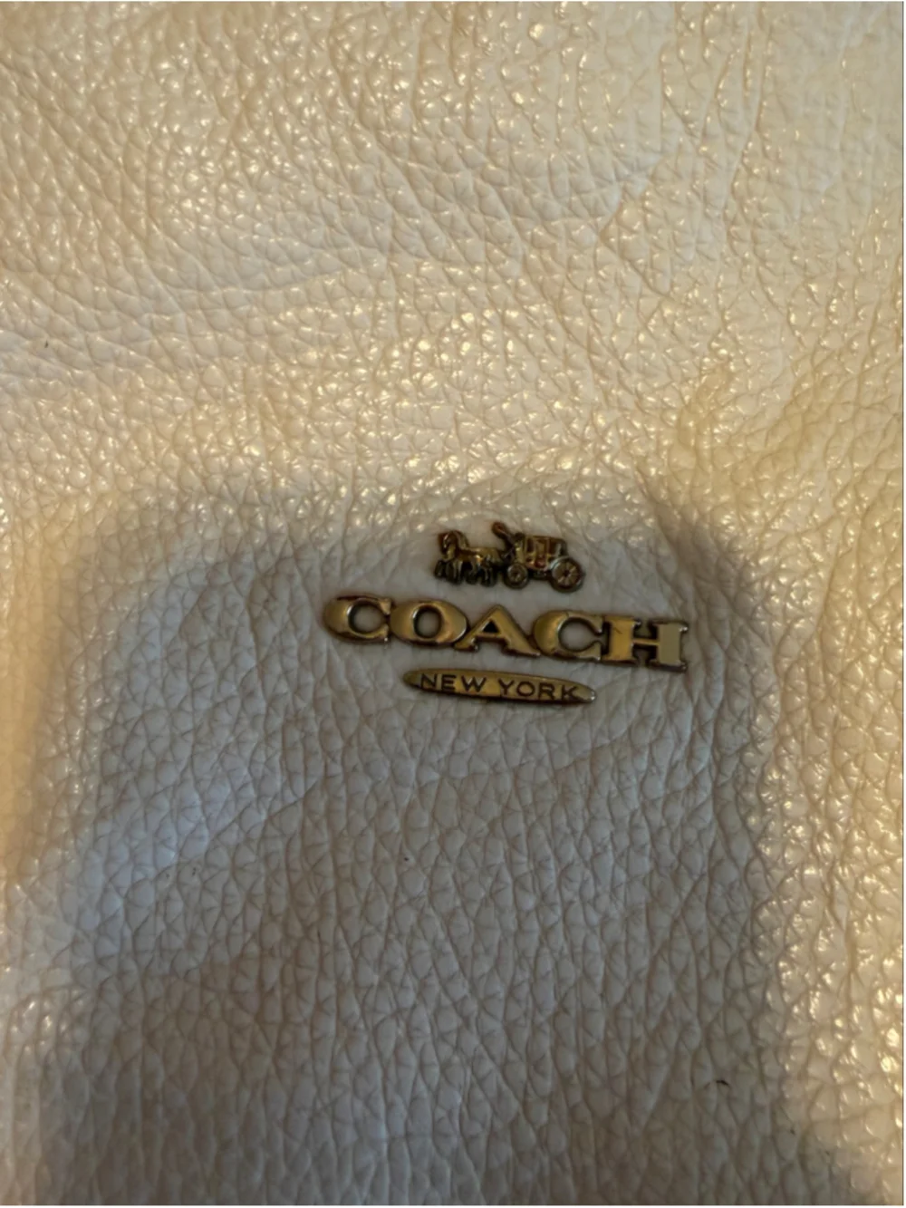 Coach description pebbled